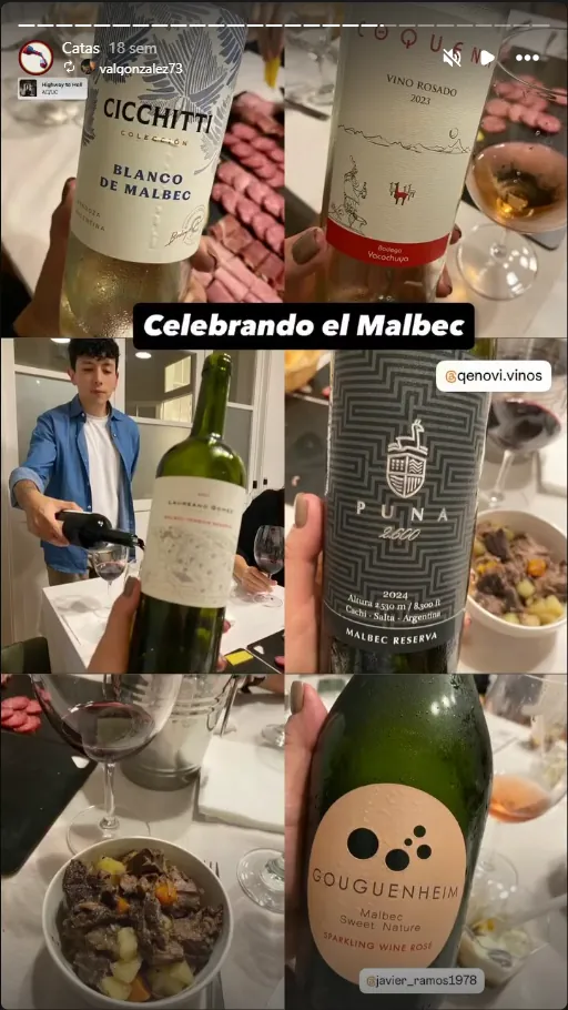 Botellas de Malbec en una cata Qenovi, celebrando el Día del Malbec